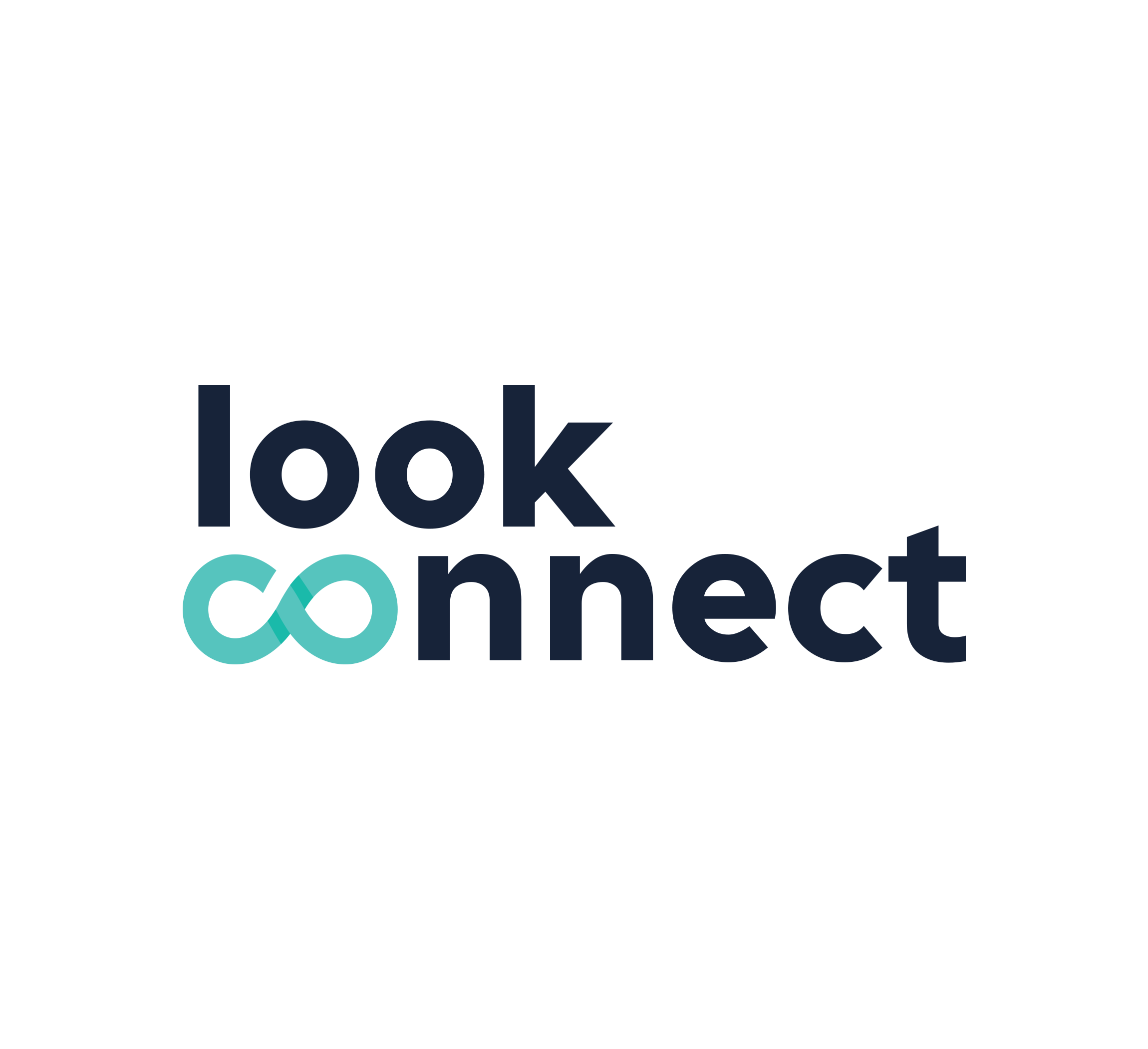 Look Connect, monitoring, serwis komputerowy — logo